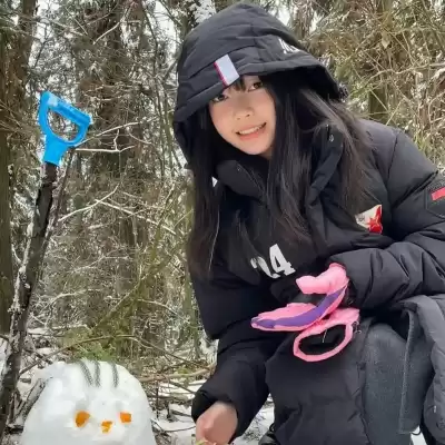 公凡梦